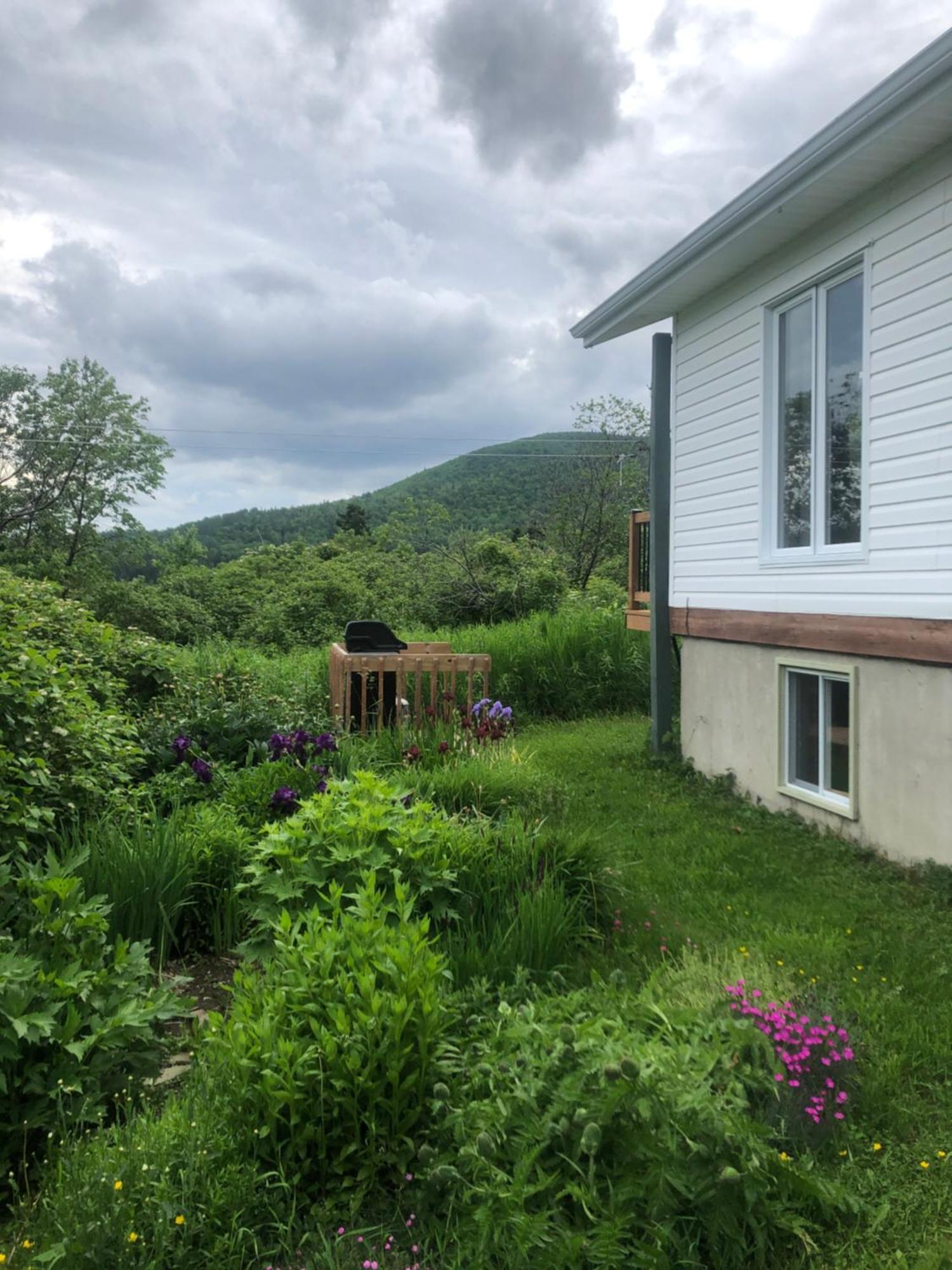Chalets Les Chanterelles De Forillon L'Anse-au-Griffon Esterno foto